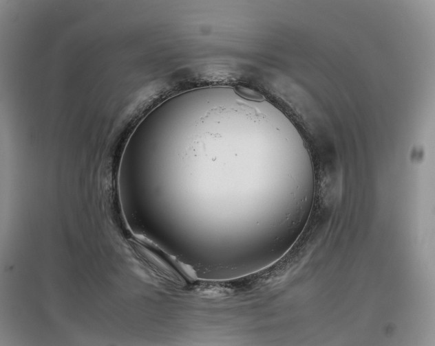 X0000097000407200802151418
