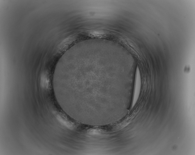 X0000097000408200802151418