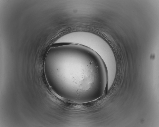 X0000097000409200802151418