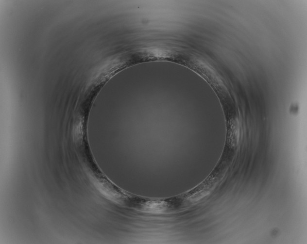X0000097000410200802151418