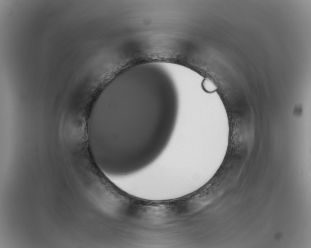 X0000097000411200802151418