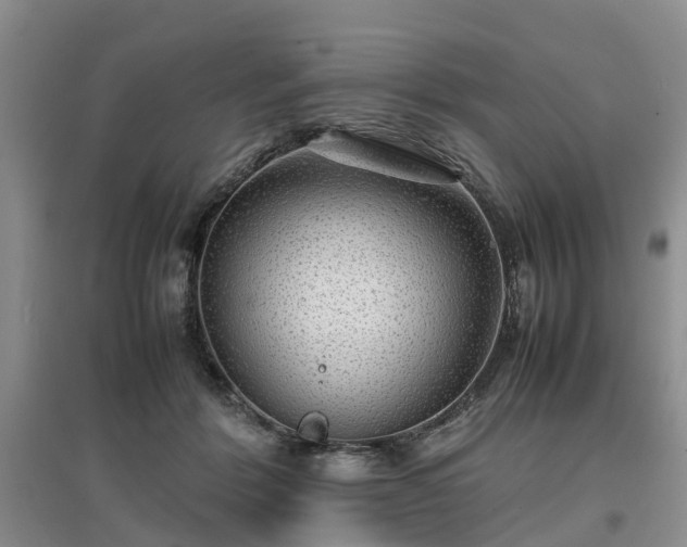 X0000097000412200802151418