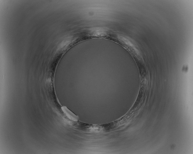 X0000097000415200802151418