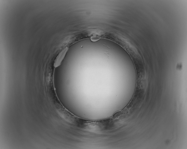X0000097000417200802151418