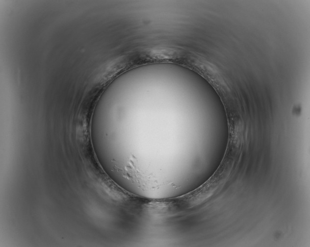 X0000097000418200802151418