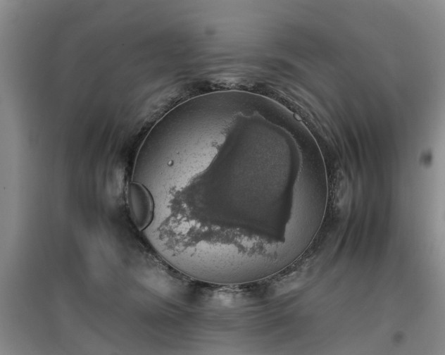 X0000097000420200802151418