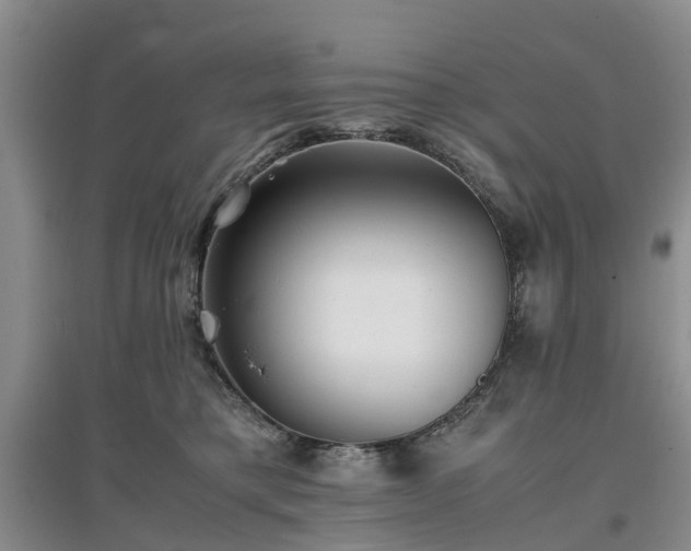 X0000097000421200802151418