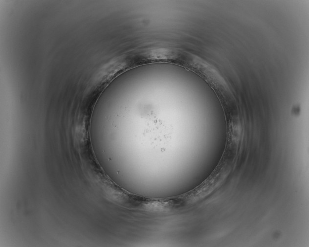 X0000097000422200802151418
