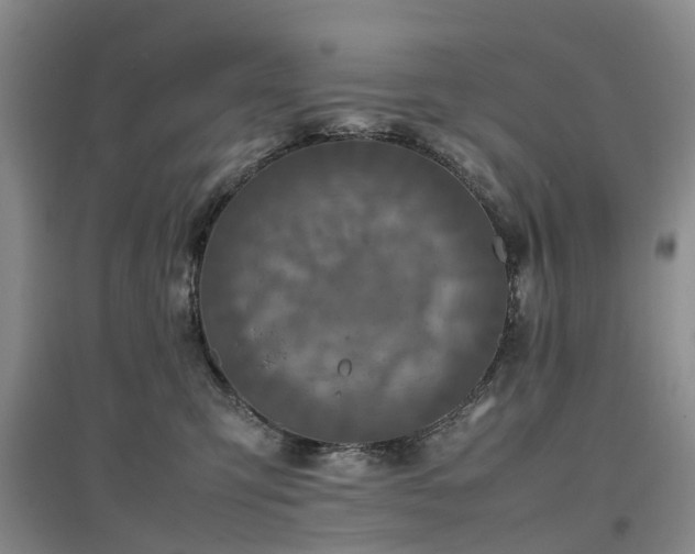X0000097000423200802151418