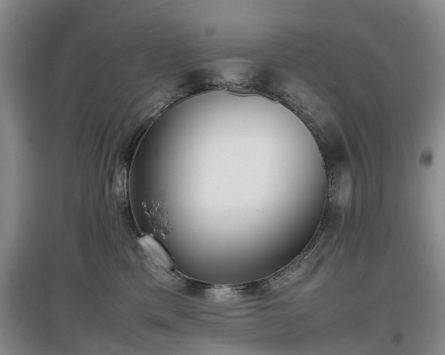 X0000097000425200802151418