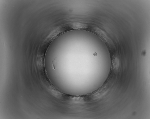 X0000097000426200802151418