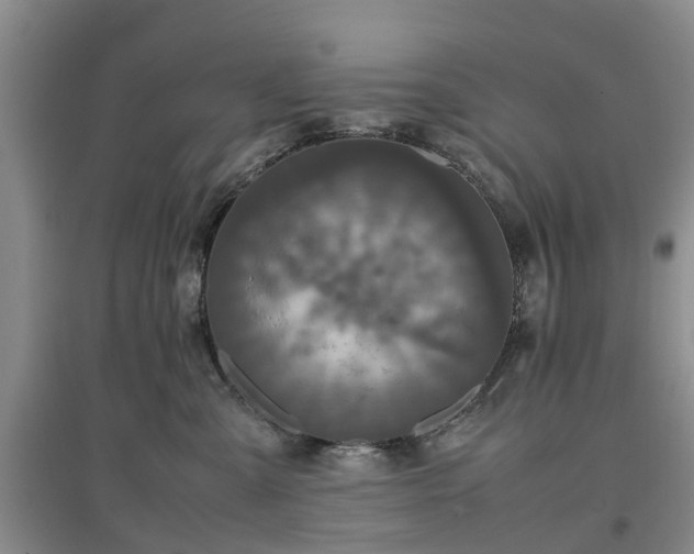X0000097000427200802151418