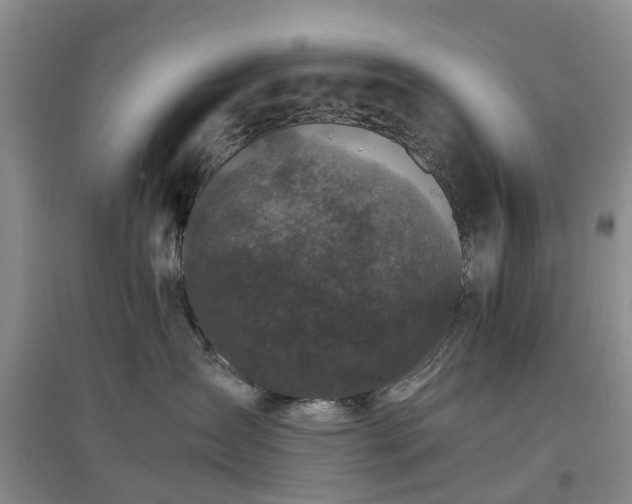X0000097000431200802151418