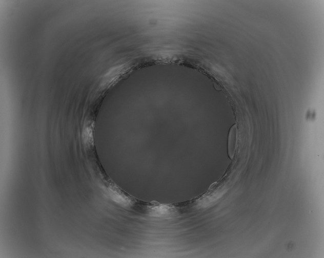 X0000097000432200802151418