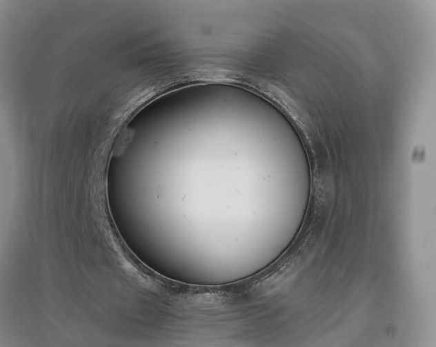X0000097000433200802151417