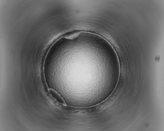 X0000097000434200802151417