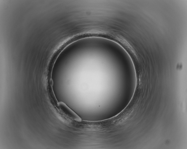 X0000097000436200802151417