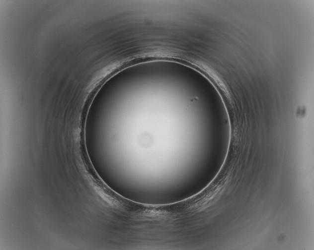 X0000097000437200802151417