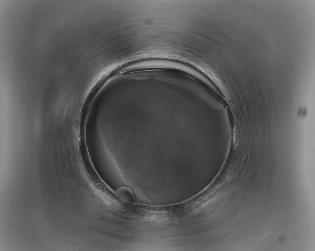 X0000097000438200802151417