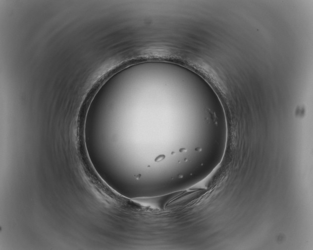X0000097000439200802151417