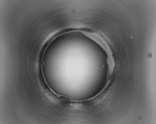 X0000097000440200802151418