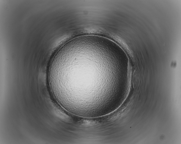 X0000097000442200802151418