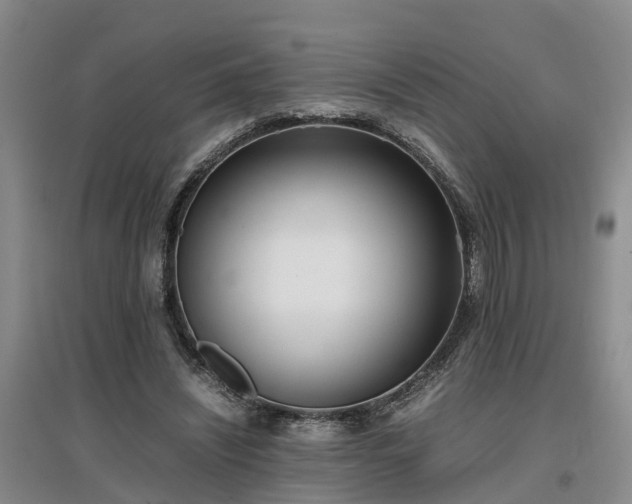 X0000097000444200802151418