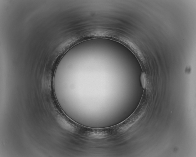 X0000097000445200802151418