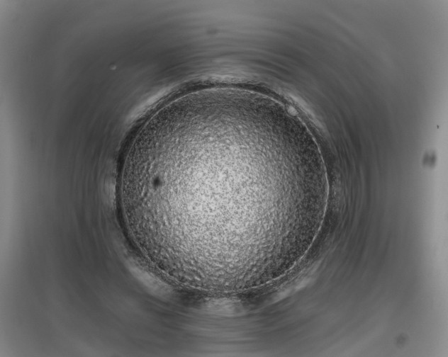 X0000097000446200802151418