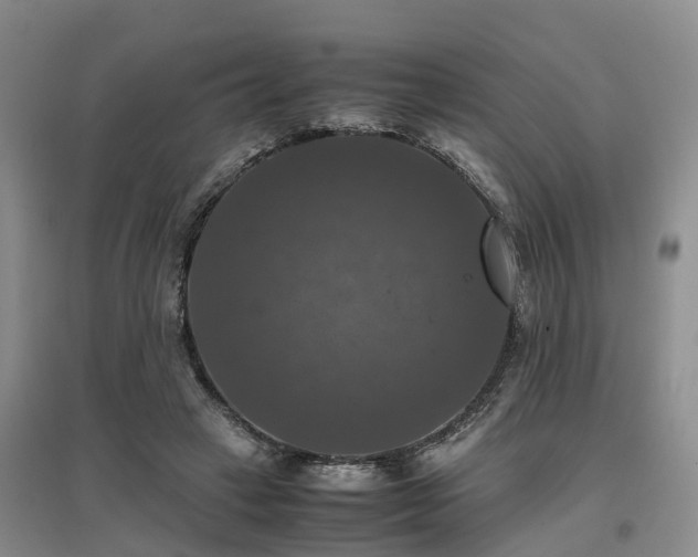 X0000097000449200802151418