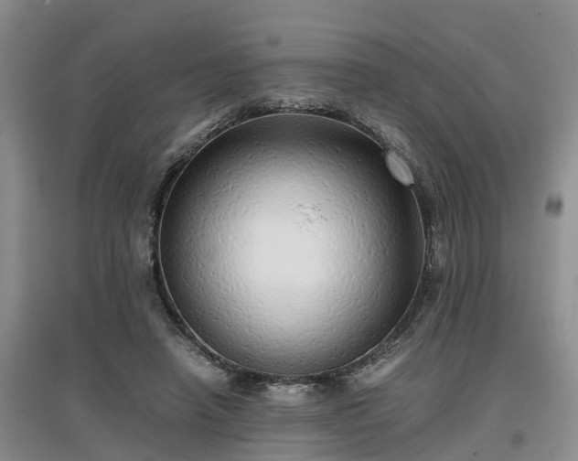 X0000097000450200802151418
