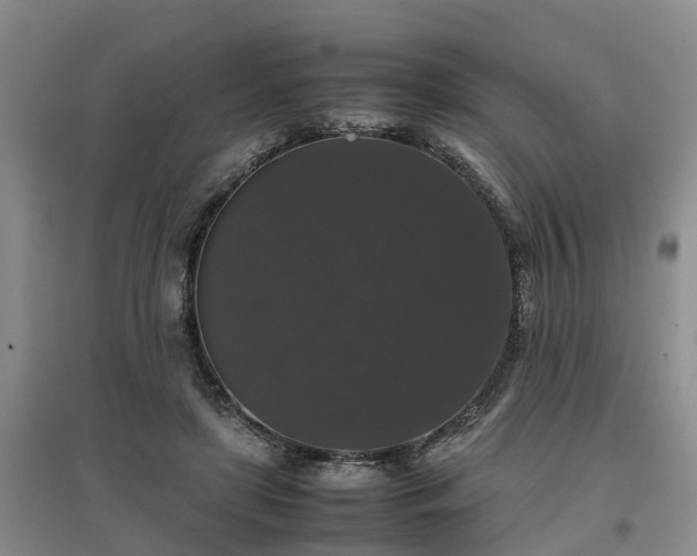 X0000097000451200802151418