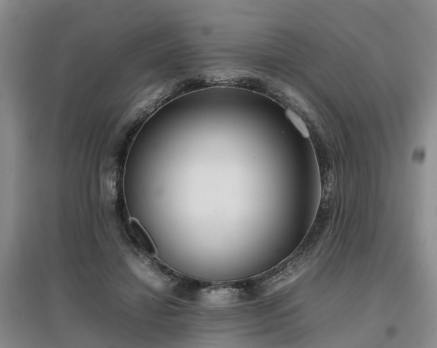X0000097000452200802151418