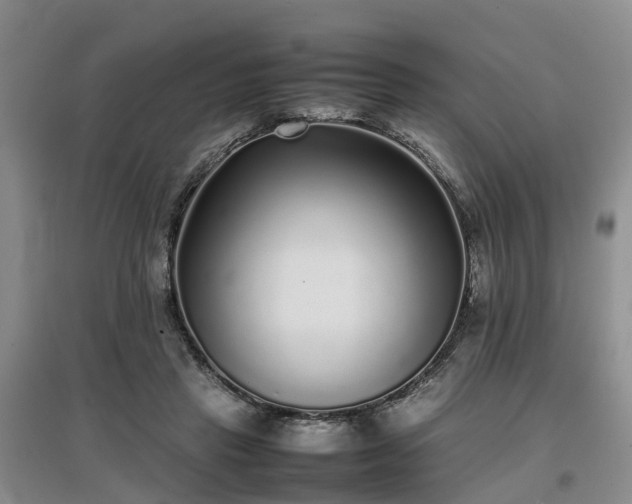 X0000097000453200802151418