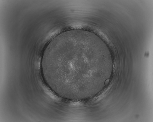 X0000097000454200802151418