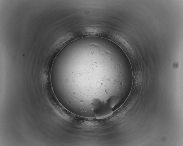 X0000097000455200802151418