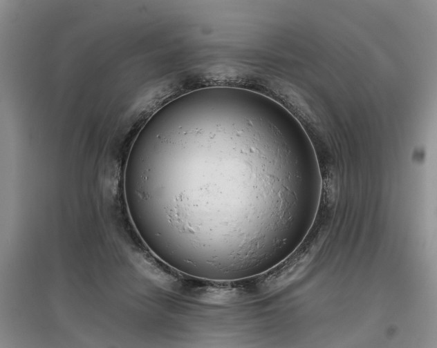 X0000097000458200802151418