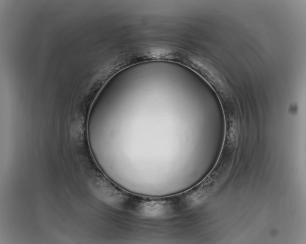 X0000097000461200802151418