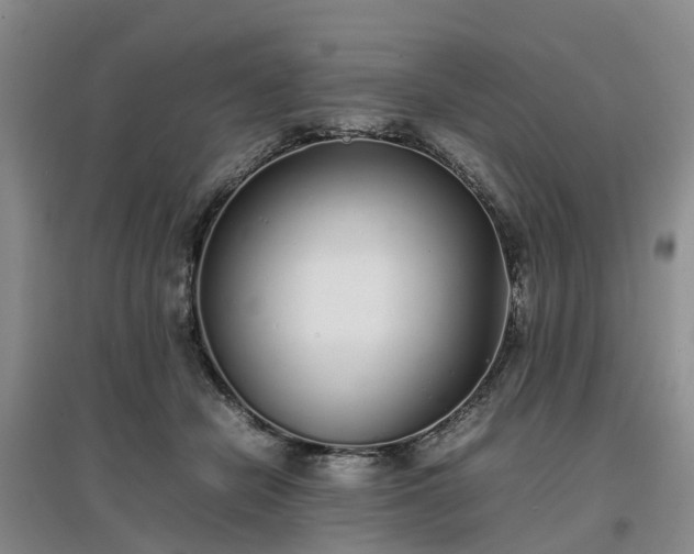 X0000097000462200802151418