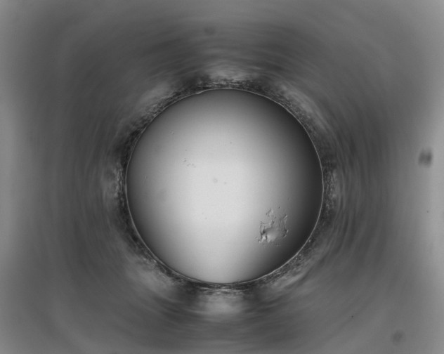 X0000097000463200802151418