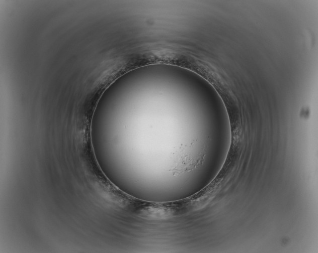 X0000097000464200802151418