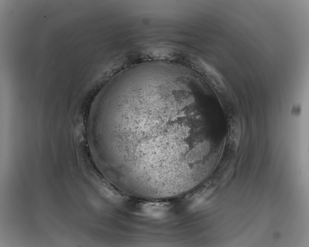 X0000097000465200802151418