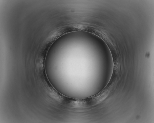 X0000097000466200802151418