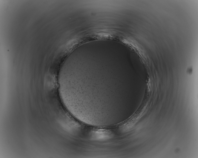 X0000097000467200802151418