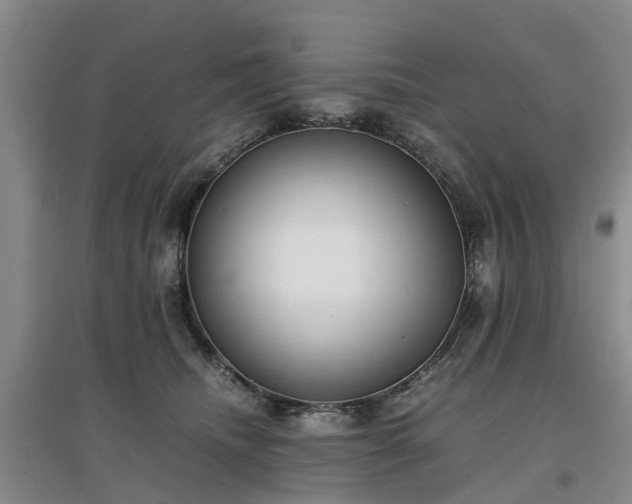 X0000097000468200802151418