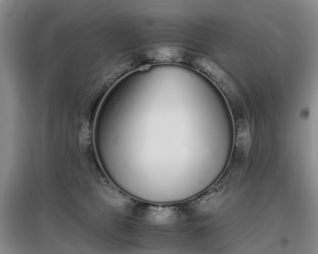 X0000097000469200802151418