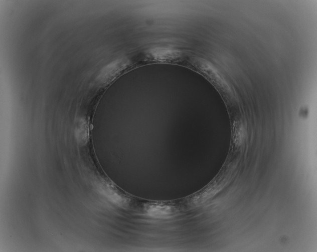 X0000097000471200802151418