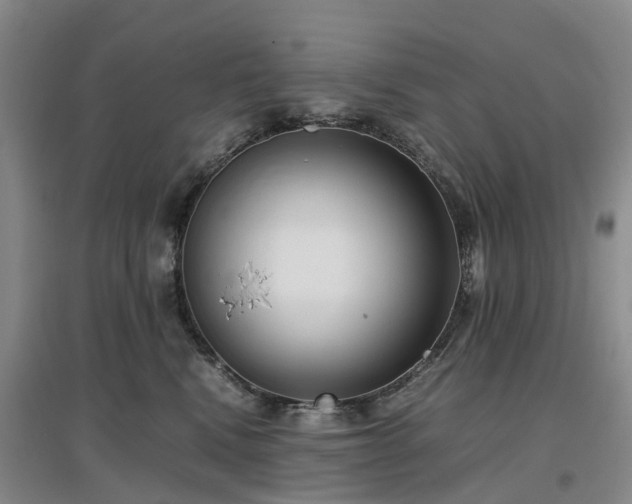 X0000097000472200802151418