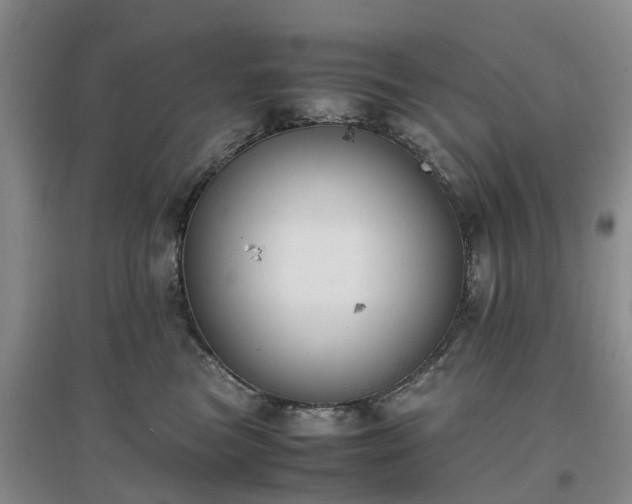 X0000097000473200802151418