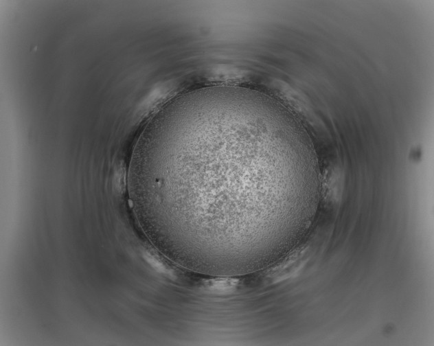 X0000097000474200802151418